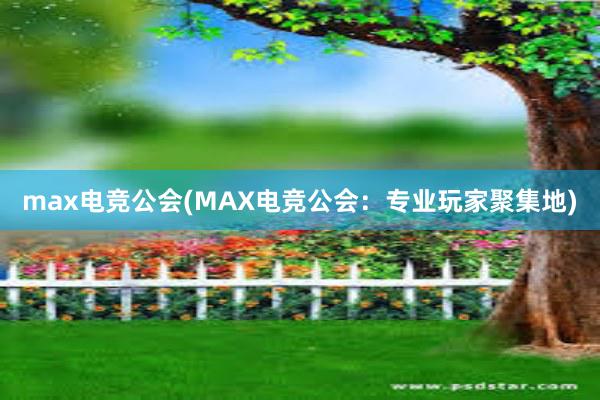 max电竞公会(MAX电竞公会：专业玩家聚集地)