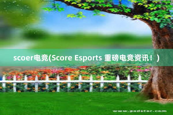 scoer电竞(Score Esports 重磅电竞资讯！)