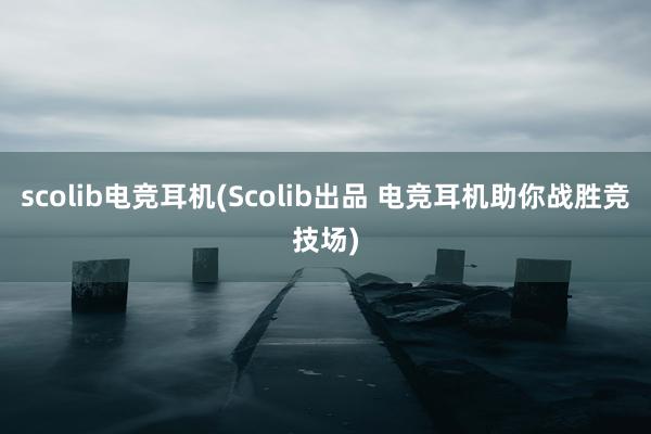 scolib电竞耳机(Scolib出品 电竞耳机助你战胜竞技场)