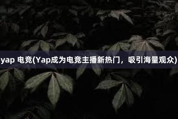 yap 电竞(Yap成为电竞主播新热门，吸引海量观众)