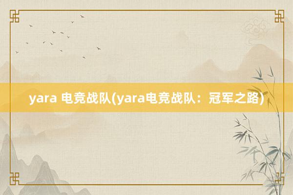 yara 电竞战队(yara电竞战队：冠军之路)