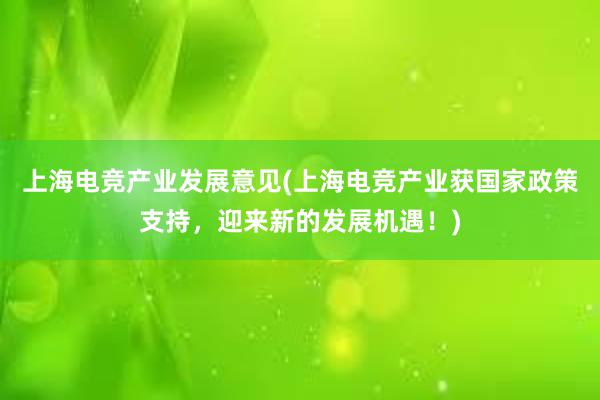 上海电竞产业发展意见(上海电竞产业获国家政策支持，迎来新的发展机遇！)