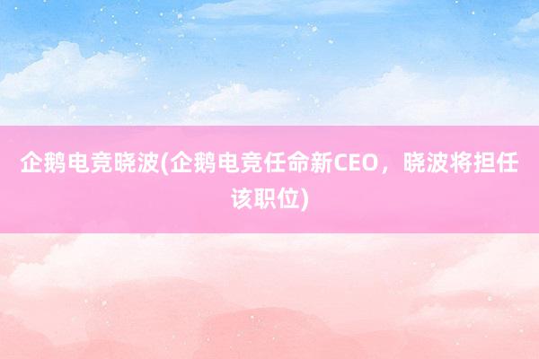 企鹅电竞晓波(企鹅电竞任命新CEO，晓波将担任该职位)