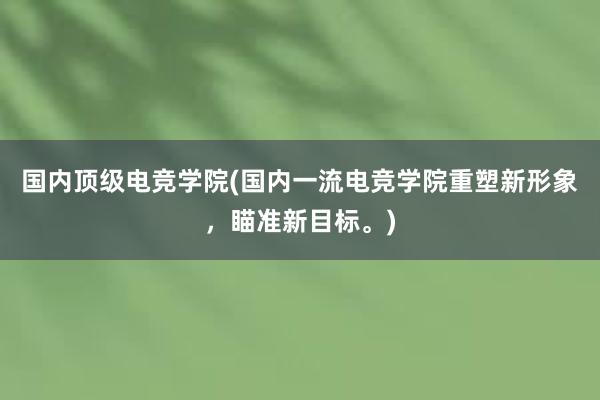 国内顶级电竞学院(国内一流电竞学院重塑新形象，瞄准新目标。)