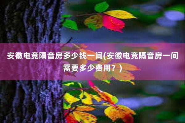 安徽电竞隔音房多少钱一间(安徽电竞隔音房一间需要多少费用？)