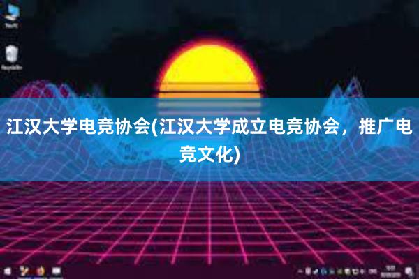 江汉大学电竞协会(江汉大学成立电竞协会，推广电竞文化)