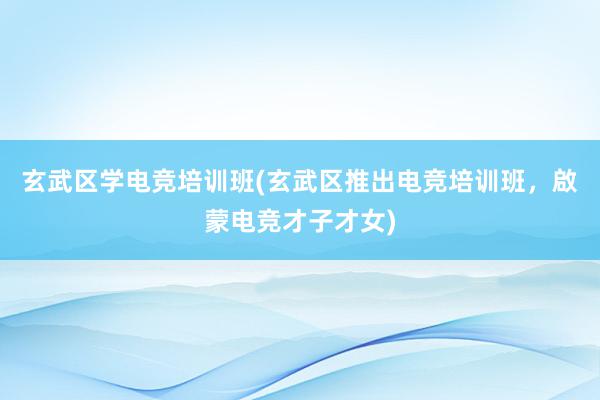 玄武区学电竞培训班(玄武区推出电竞培训班，啟蒙电竞才子才女)