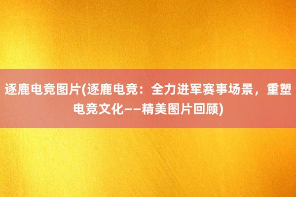 逐鹿电竞图片(逐鹿电竞：全力进军赛事场景，重塑电竞文化——精美图片回顾)