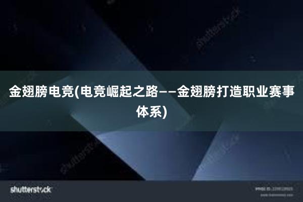 金翅膀电竞(电竞崛起之路——金翅膀打造职业赛事体系)