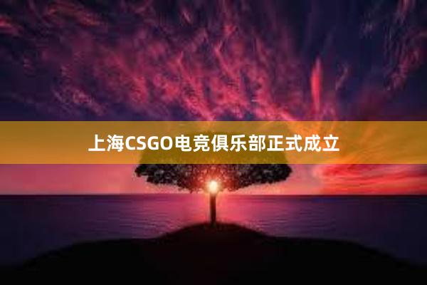 上海CSGO电竞俱乐部正式成立