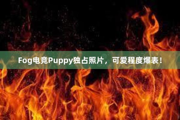 Fog电竞Puppy独占照片，可爱程度爆表！