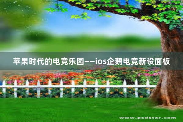 苹果时代的电竞乐园——ios企鹅电竞新设面板