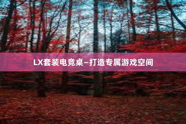 LX套装电竞桌—打造专属游戏空间