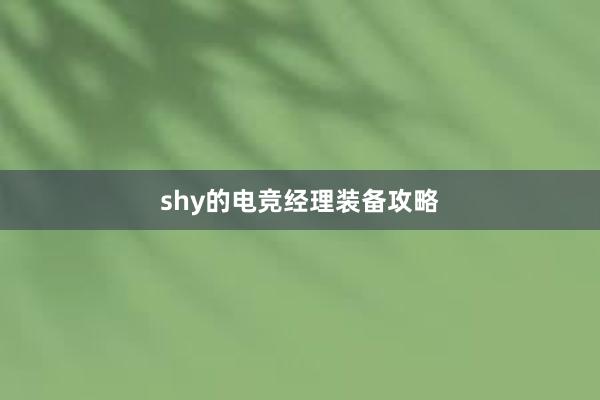 shy的电竞经理装备攻略