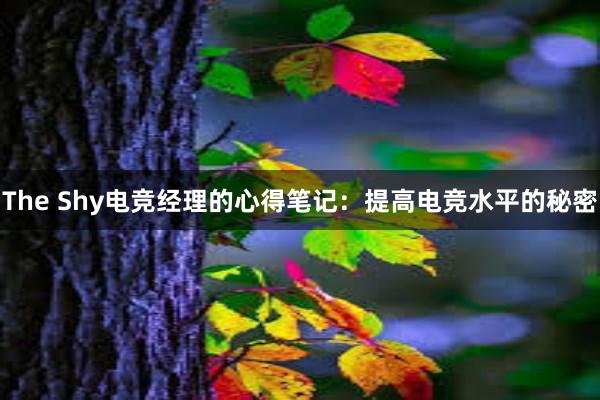 The Shy电竞经理的心得笔记：提高电竞水平的秘密