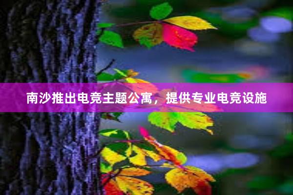 南沙推出电竞主题公寓，提供专业电竞设施