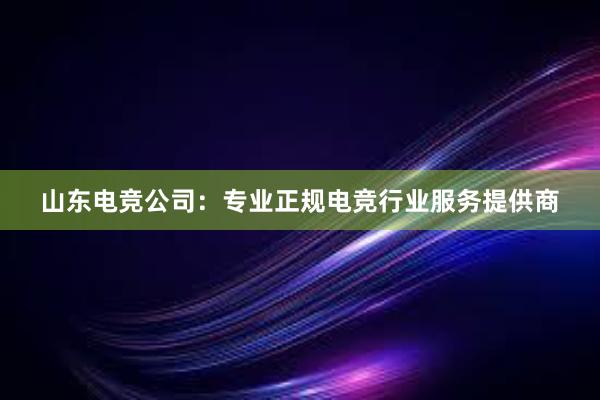 山东电竞公司：专业正规电竞行业服务提供商