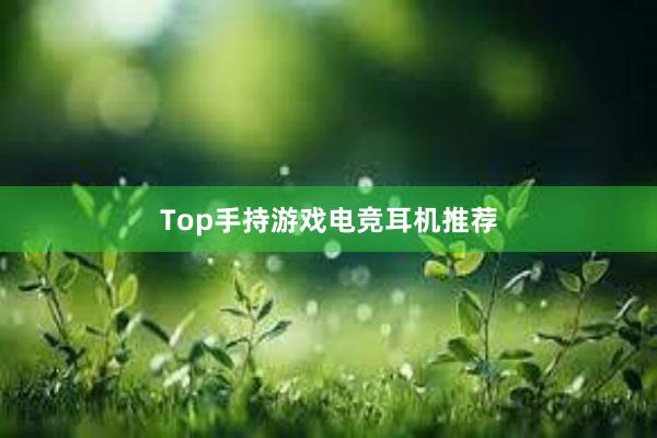 Top手持游戏电竞耳机推荐