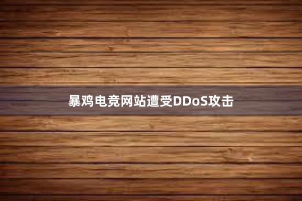 暴鸡电竞网站遭受DDoS攻击