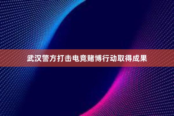 武汉警方打击电竞赌博行动取得成果