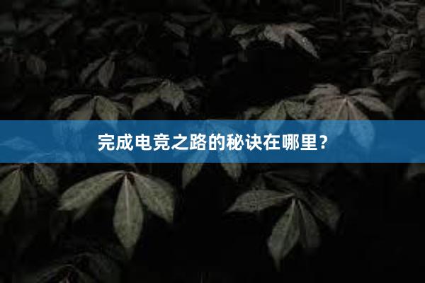 完成电竞之路的秘诀在哪里？