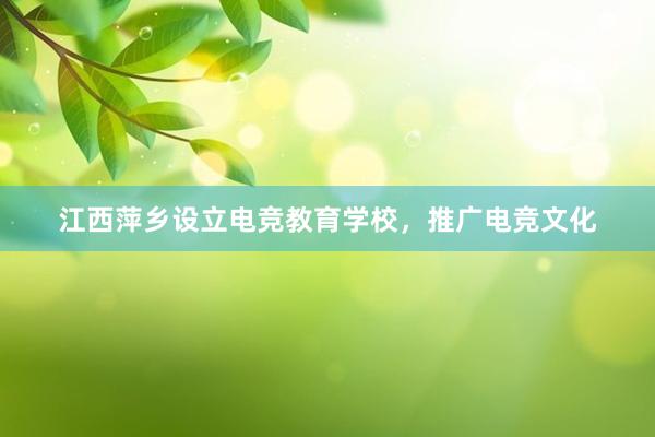 江西萍乡设立电竞教育学校，推广电竞文化